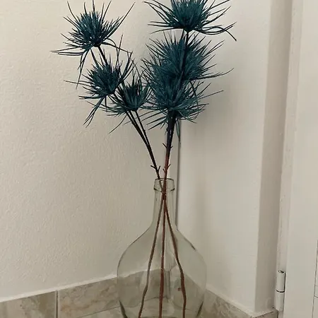 Apartmán Dinka *